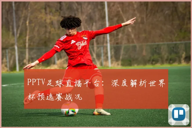 PPTV足球直播平台：深度解析世界杯预选赛战况