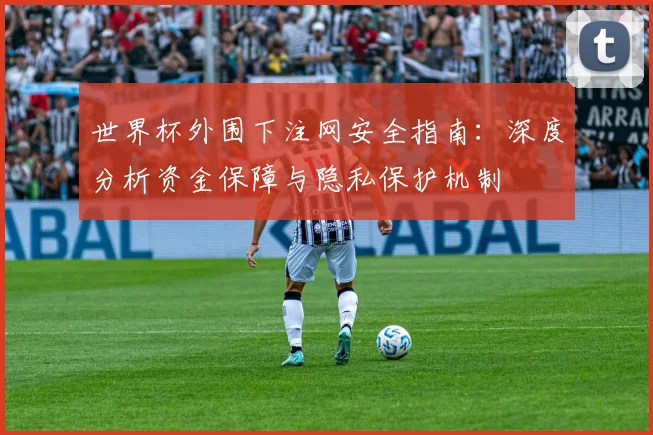 世界杯外围下注网安全指南:深度分析资金保障与隐私保护机制