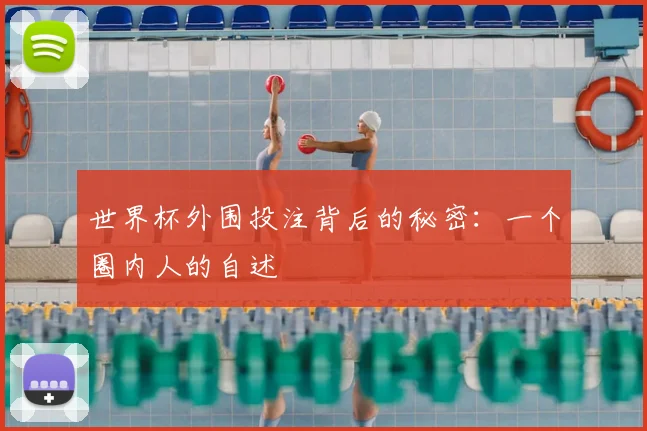 世界杯外围投注背后的秘密:一个圈内人的自述